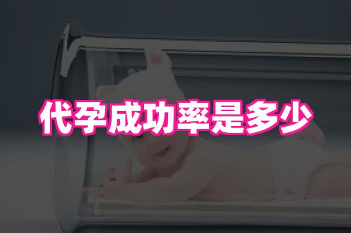 福建助孕网 1