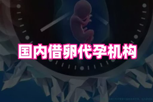 福建助孕网 3